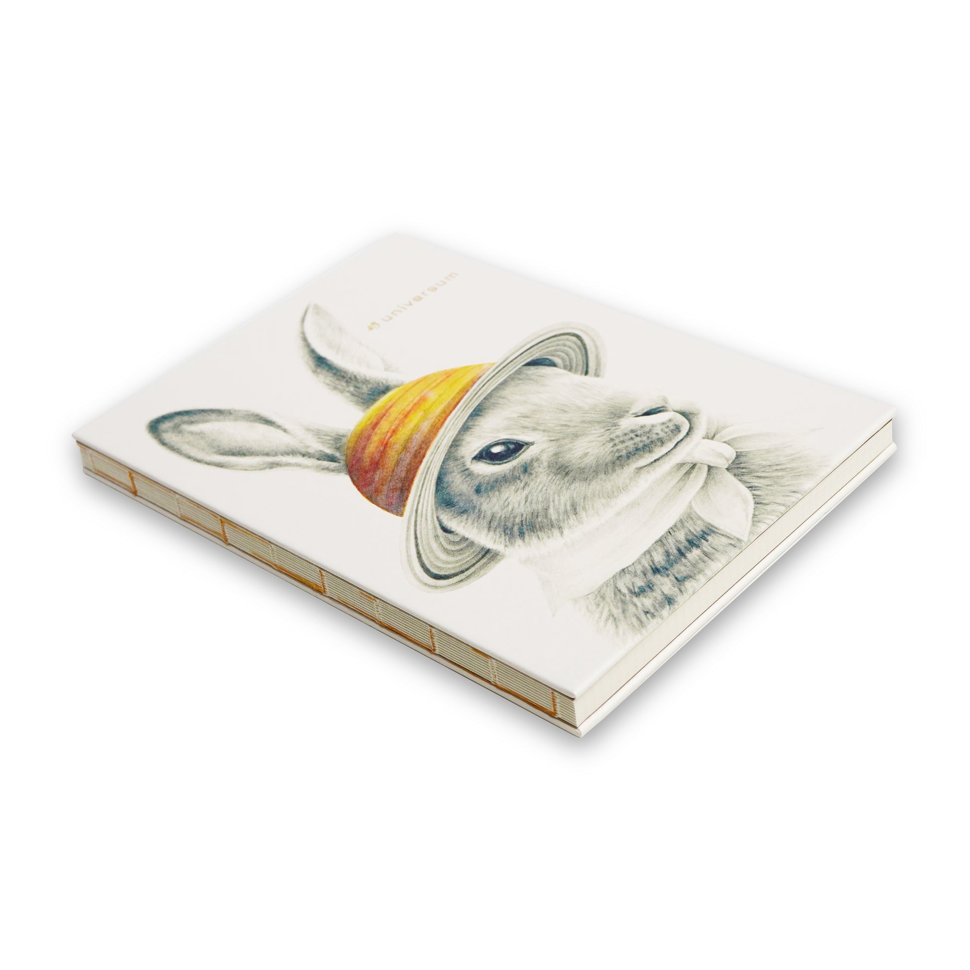 EGGNWORKS エッグンワークス ドイツ装 ARTNOTEBOOK アートノートブック Universum 星の帽子 遠藤涼子 EW0244